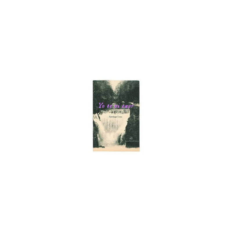 Libro. YO TE VI CAER. Santiago Loza