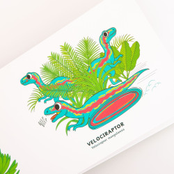 Libro de cartoné. ¡ROAR!