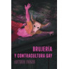 Libro. BRUJERÍA Y CONTRACULTURA GAY