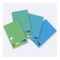 CARTAS RAINBOW SOCIETY
