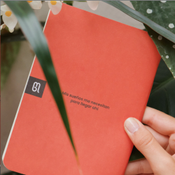 Libro. LIBRETAS X2 POCKET MIS SUEÑOS ME NECESITAN