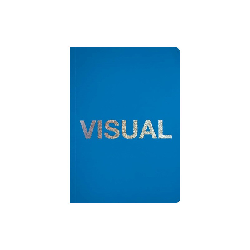 Libro. VISUAL. CAMILA BRETÓN / CAROLINA CATTANEO / DOLORES CAVIGLIA / LINA VARGAS