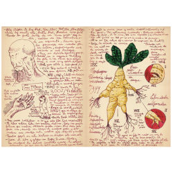 Cuaderno de dibujo. GUILLERMO DEL TORO SKETCHBOOK