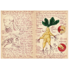 Cuaderno de dibujo. GUILLERMO DEL TORO SKETCHBOOK
