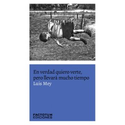 Libro. EN VERDAD QUIERO VERTE, PERO LLEVARA MUCHO TIEMPO. Luis Mey