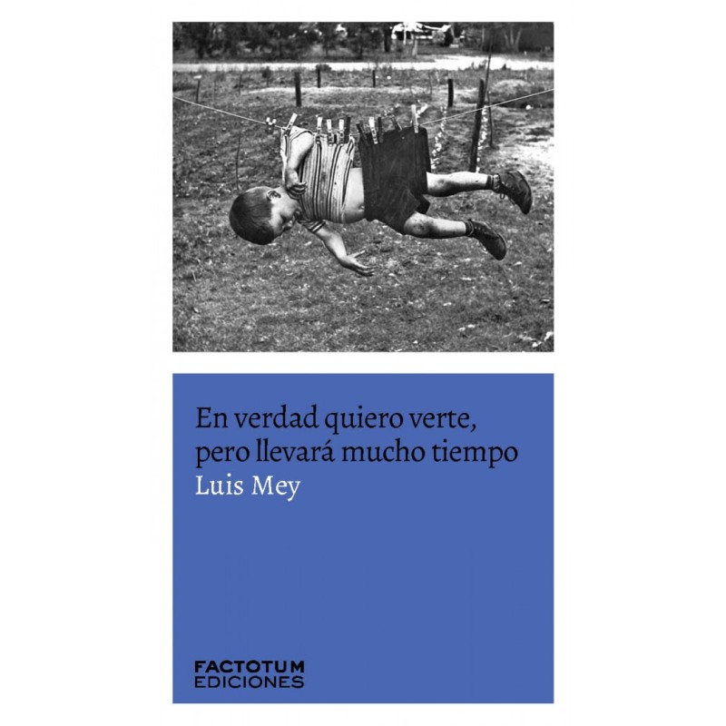 Libro. EN VERDAD QUIERO VERTE, PERO LLEVARA MUCHO TIEMPO. Luis Mey