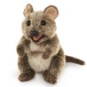 Títere. QUOKKA
