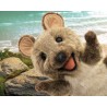 Títere. QUOKKA