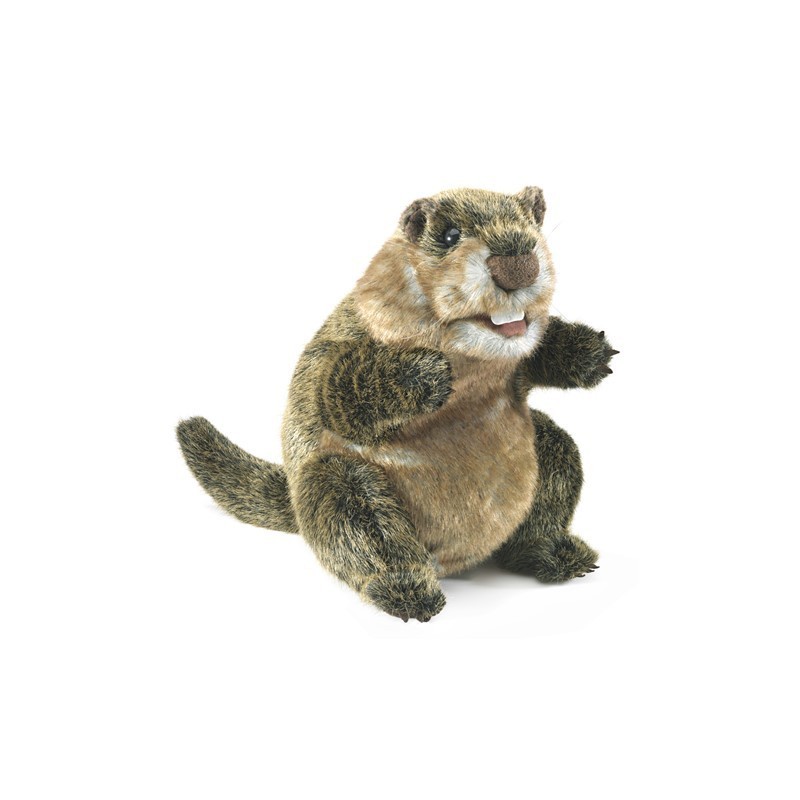 Títere. MARMOTA