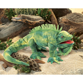 TÍTERE - IGUANA
