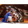 Libro. El Principito. El musical