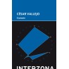 Libro. CARNETS. Cesar Vallejo