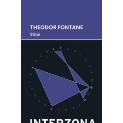 Libro. STINE. Theodor Fontane