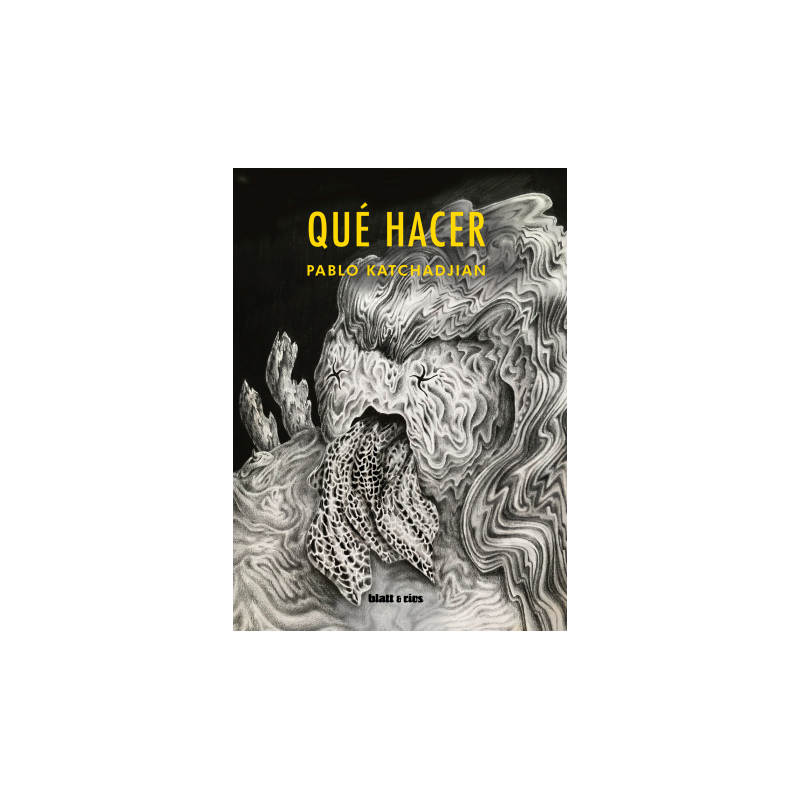 Libro. QUÉ HACER. Pablo Katchadjian