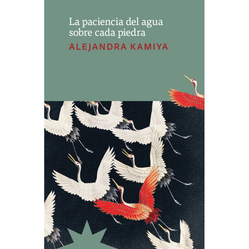 Libro. LA PACIENCIA DEL AGUA SOBRE CADA PIEDRA. Alejandra Kamiya