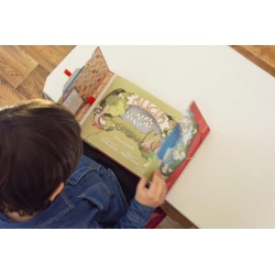 Libro. ALICIA. LIBRO TUNEL POP UP. Lewis Carroll. Gerbera.