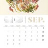 Calendario. ERNST HAECKEL 2026. PARED.