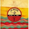 Libro. La balsa. Lito Nebbia