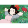 Caja de postales. STUDIO GHIBLI VOLUME 2
