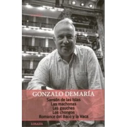 Libro. SASON DE LAS ISLAS. GONZALO DEMARIA