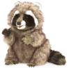 Títere. MAPACHE