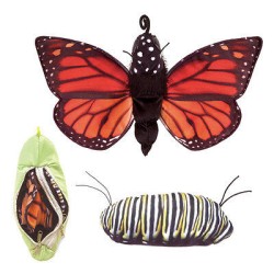 Títere. CICLO MARIPOSA MONARCA