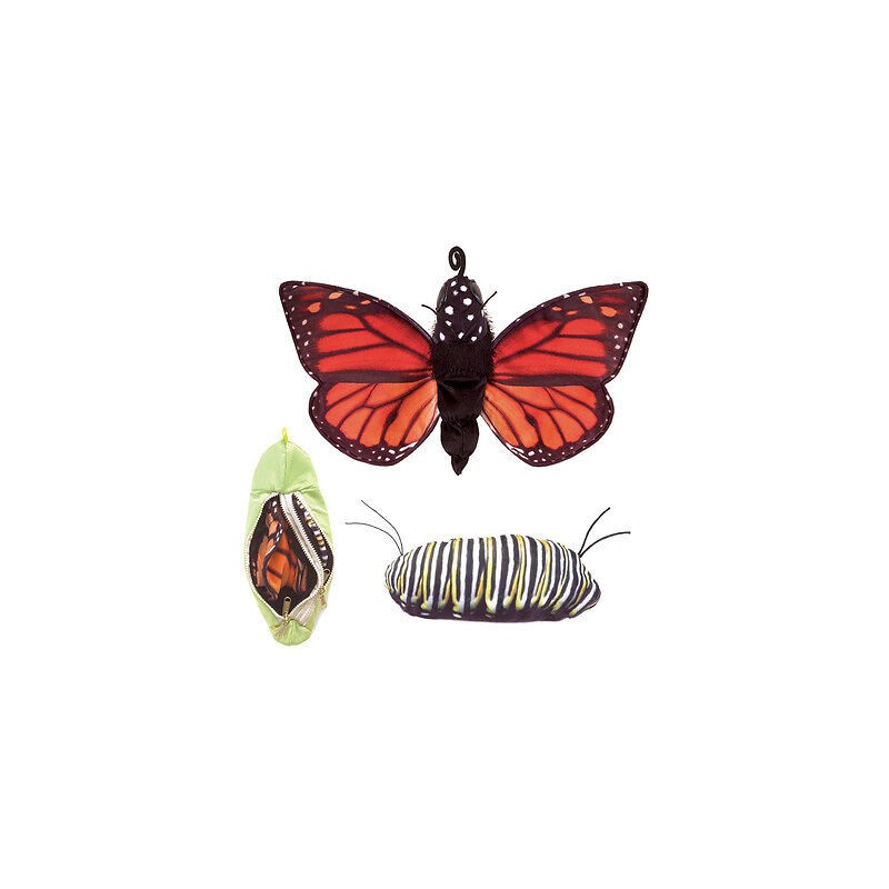 Títere. CICLO MARIPOSA MONARCA