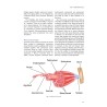 Libro. STRENGTH AND CONDITIONING FOR DANCERS