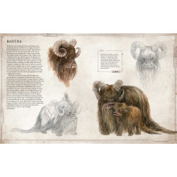 Libro. STAR WARS BESTIARY Vol. 1