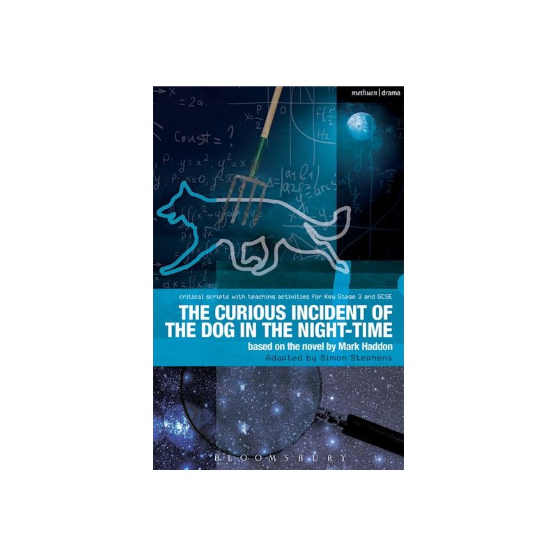 Libro. The curious incident of the dog in the night-time