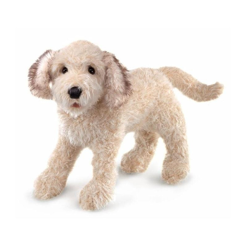 Títere. PERRO LABRADOODLE