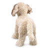 Títere. PERRO LABRADOODLE