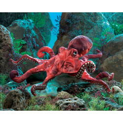Títere. PULPO