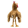 Títere. POLLO - GALLINITA